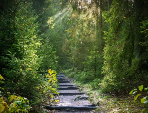 My Journey from OCD to Personal Power