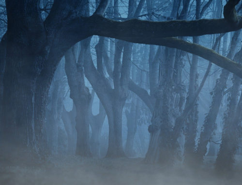 What are the Twelve Holy Nights?