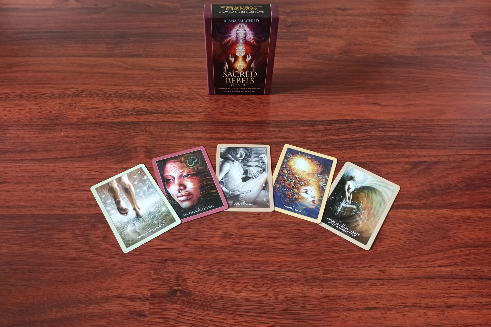 Nahaufnahme des Orakelkarte-Sets "Sacred Rebels Oracle Cards", die Box im Hintergrund aufgestellt und fünf Karten des Decks davor auf dem dunklen Holzfußboden ausgebreitet