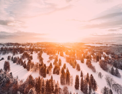 Winter Solstice (Yule)