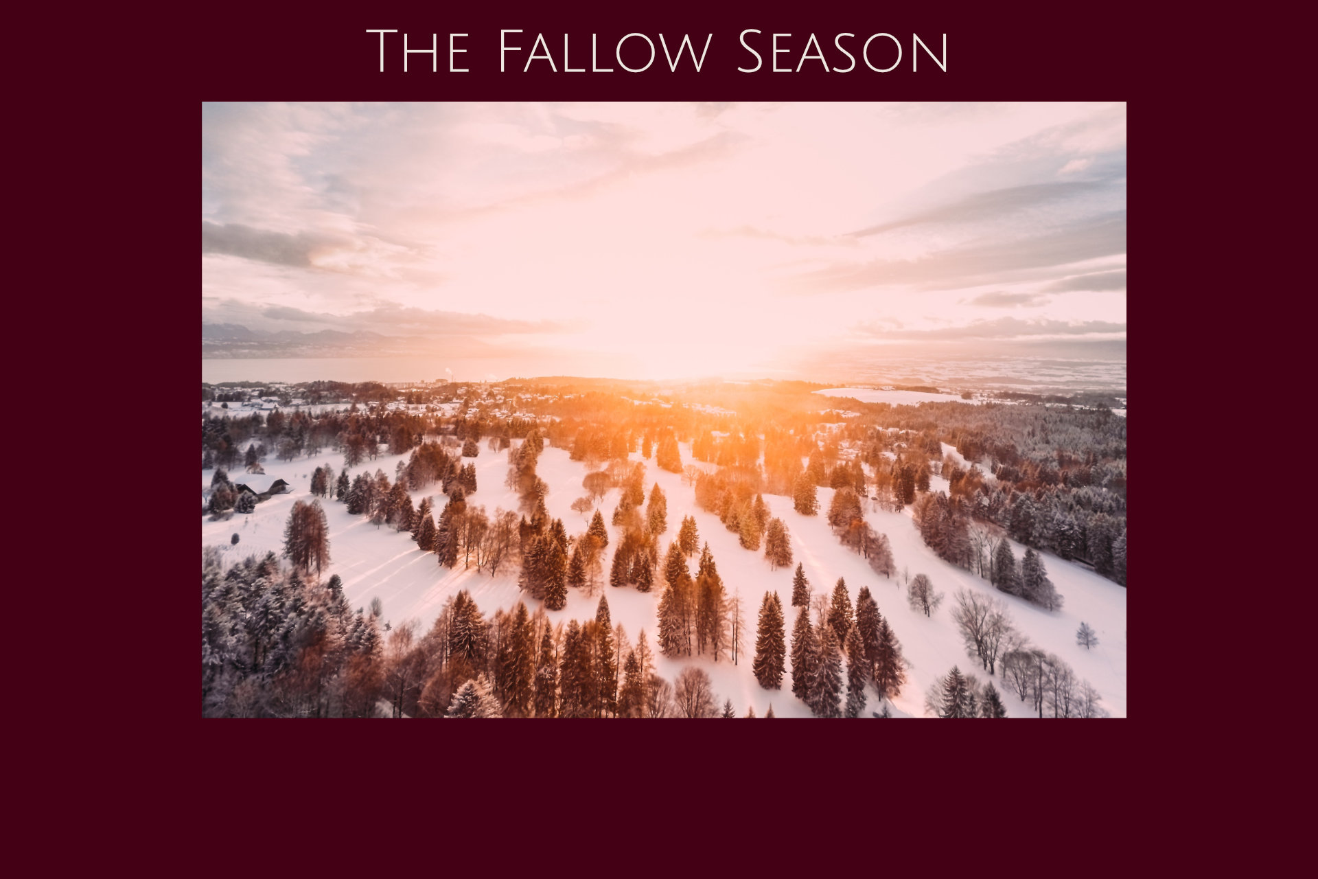 Bird's eye view of a snowy forest landscape with the rising sun on the horizon, text "The Fallow Season"