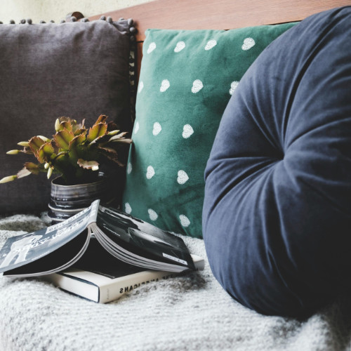 Tile Taster-Coaching Photo of a couch with a pot plant and two books on a light grey blanket on the sitting area, thick sage-green and dark blue cushions leaning against the couch's back