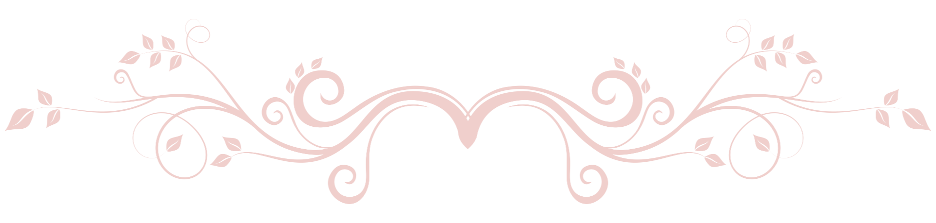 Decorative Element: soft-pink coloured flowery ornament as separator between sections